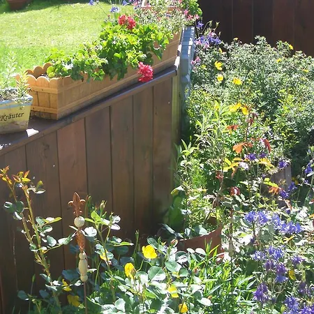 Haus Cornelia Apartamento *